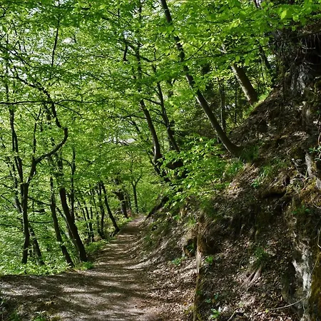 Haus Am Schulberg * Lautenthal