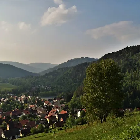 Holiday home Haus Am Schulberg Lautenthal