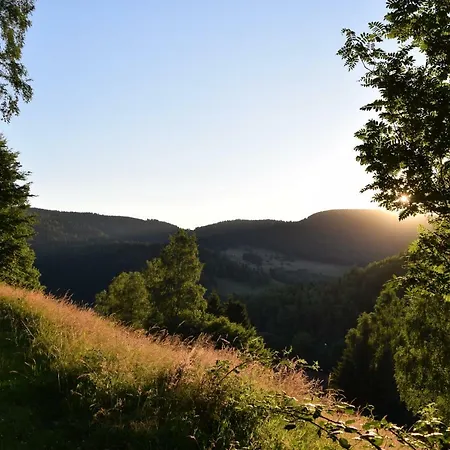 Haus Am Schulberg Holiday home